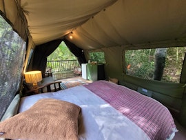 Garden Route Accommodation at Forest Glamping | Viya