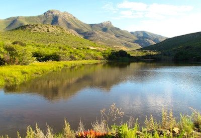  at Groot Phesantefontein Game Ranch | TravelGround