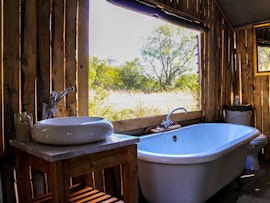 Dinokeng Game Reserve Accommodation at  | Viya