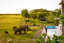 North West Accommodation at Jamala Madikwe Royal Safari Lodge | Viya