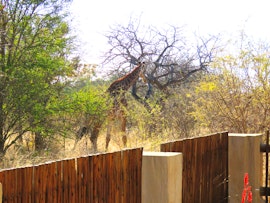 Kruger To Canyons Accommodation at  | Viya