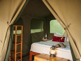 Kruger To Canyons Accommodation at Bushveld Bivouac Trails Camp | Viya