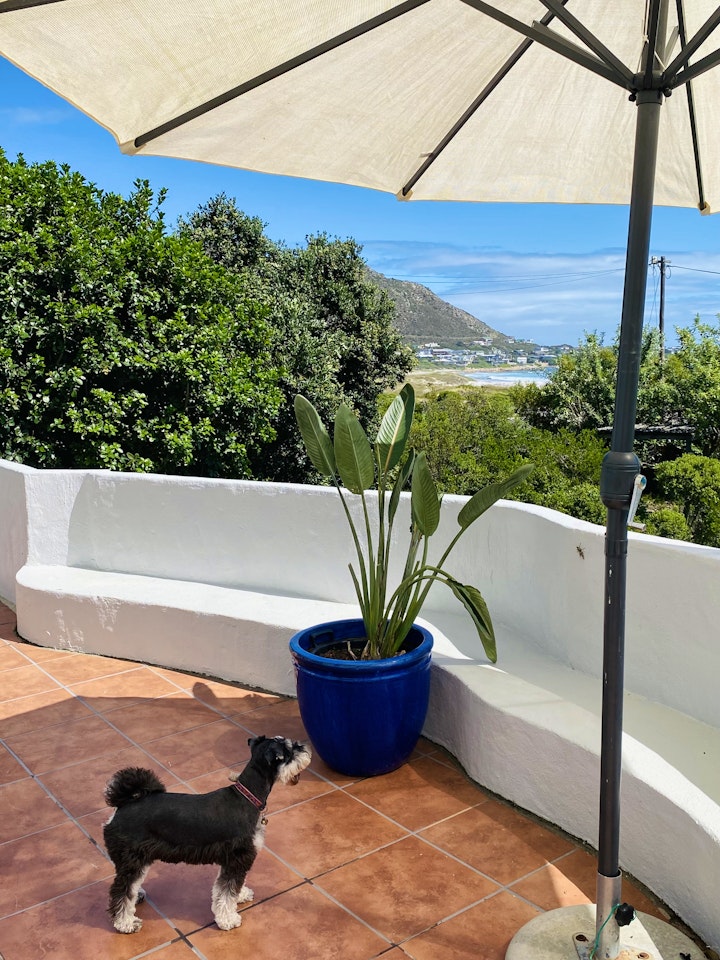 Western Cape Accommodation at Pringle Bay Beach Villa - WarieSeeSing | Viya