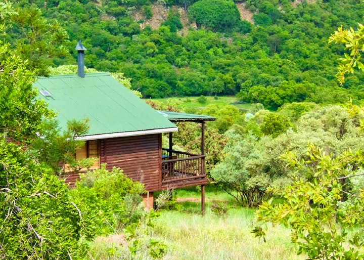 Gauteng Accommodation at Wild Syringa | Viya