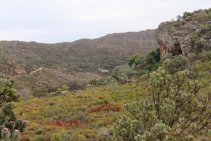 Western Cape Accommodation at Little Eden at Buffelspad | Viya