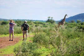 Hardap Accommodation at Lake Oanob Resort - Campsites | Viya