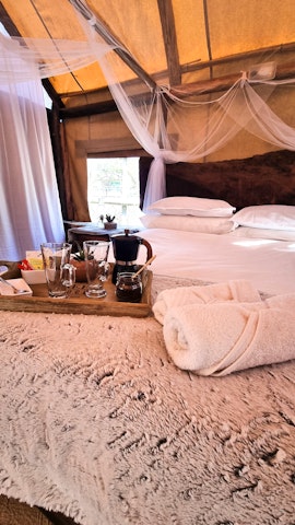 Mpumalanga Accommodation at  | Viya