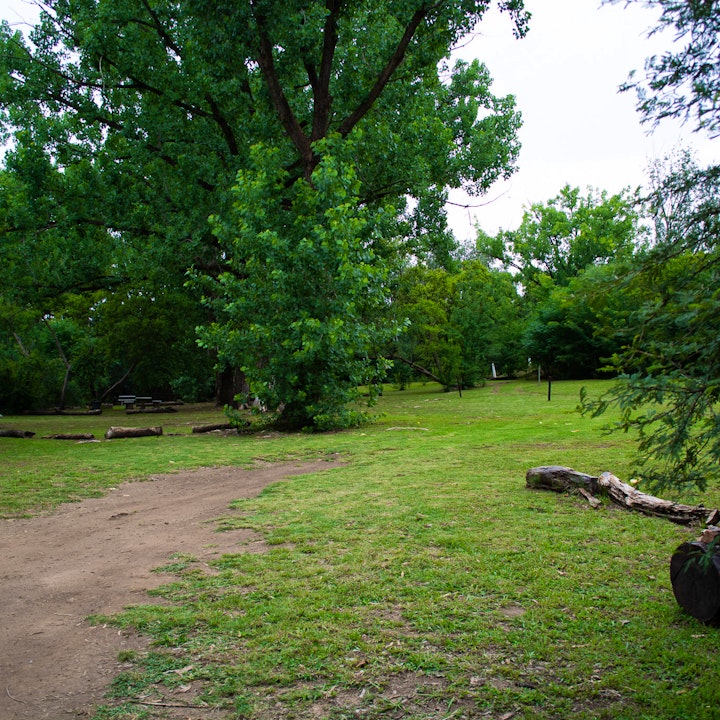 Gauteng Accommodation at The Crooked Tree | Viya