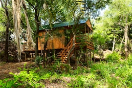 Kruger To Canyons Accommodation at  | Viya