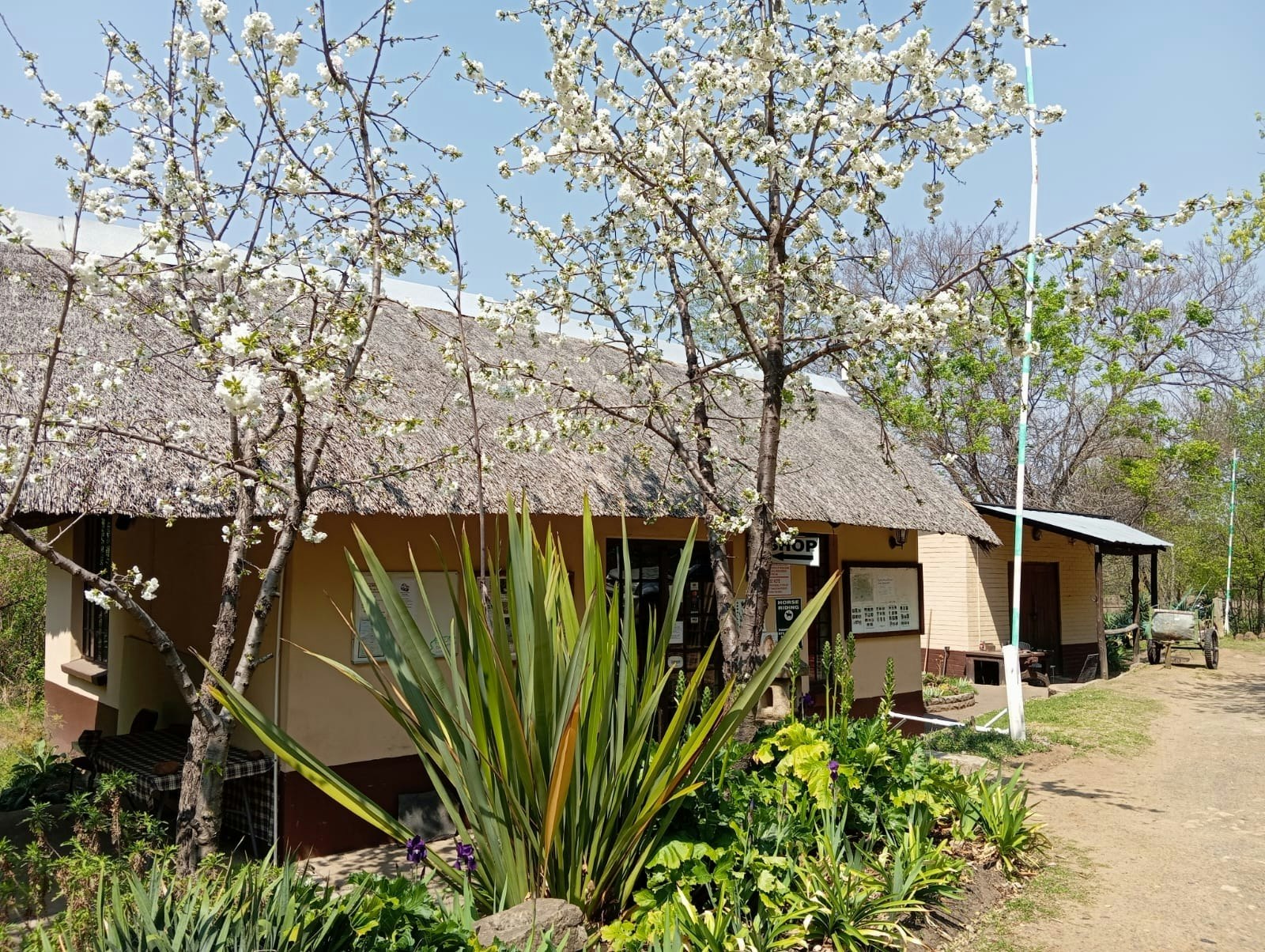 Meiringskloof Nature Park image no 2 of 38