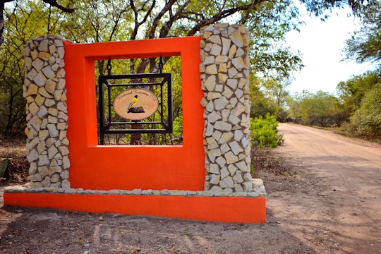 Kruger National Park South Accommodation at  | Viya