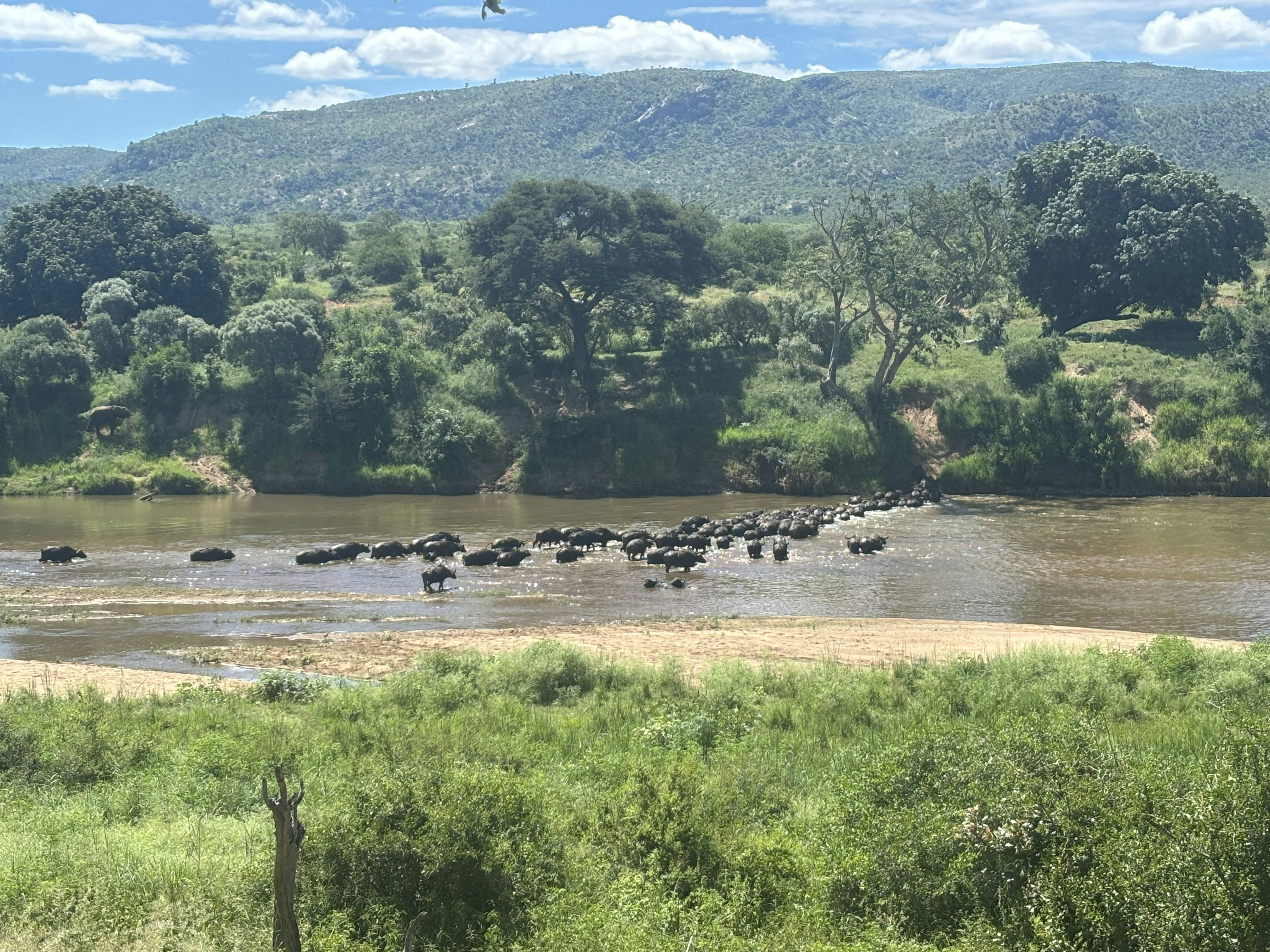 Kruger River and Rail Cottage image no 28 of 28