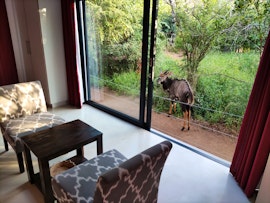 Kruger To Canyons Accommodation at  | Viya