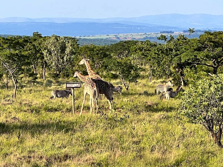 Limpopo Accommodation at Rocky Mountain Tower View | Viya