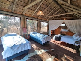 Dinokeng Game Reserve Accommodation at Cikeru Bush Camp - Buffalo | Viya