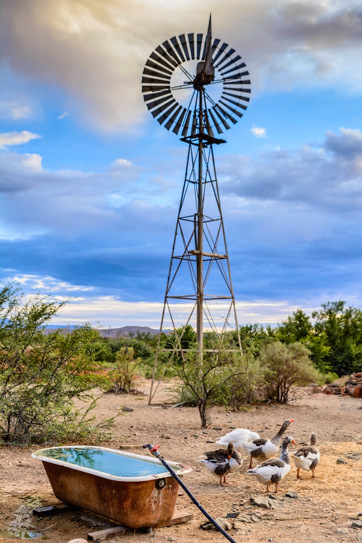 Karoo Accommodation at Steynskraal Gasteplaas | Viya