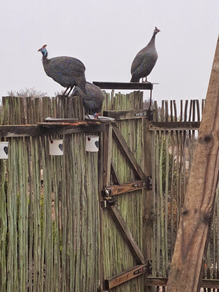 West Coast Accommodation at Paternoster's De Oude Muragie | Viya