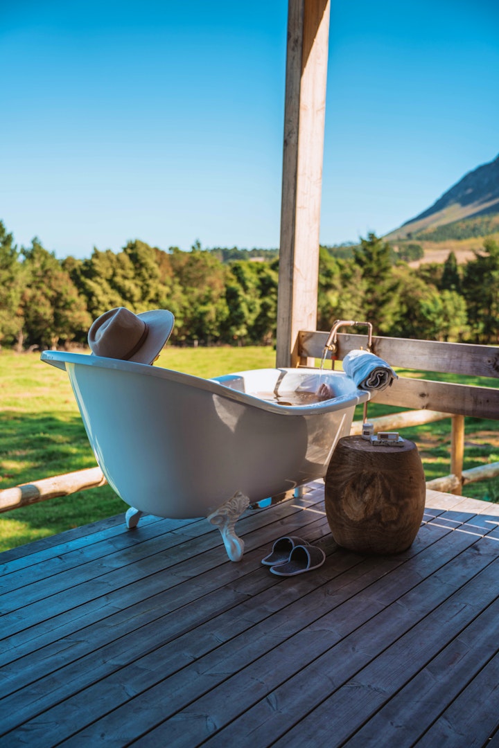 Overberg Accommodation at Hemel N Aarde Stud | Viya