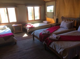 Northern Cape Accommodation at  | Viya