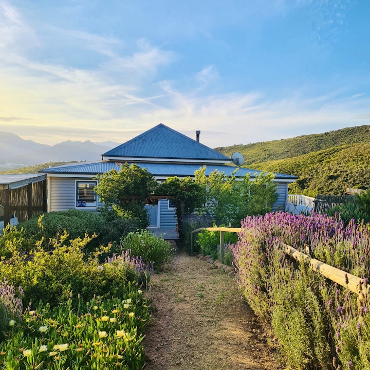 Western Cape Accommodation at Everything is Love | Viya