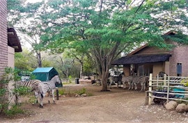 Kruger National Park South Accommodation at  | Viya