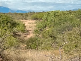 Kruger To Canyons Accommodation at  | Viya