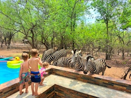 Kruger National Park South Accommodation at Loerie Escape | Viya