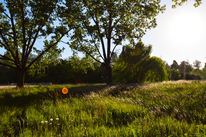 Cradle Of Humankind Accommodation at The Crooked Tree | Viya