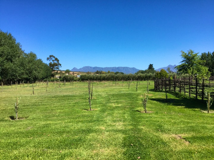 Western Cape Accommodation at Underhill Farm | Viya