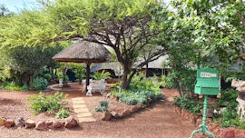 Dinokeng Game Reserve Accommodation at Mooiplasie Bush Camp | Viya