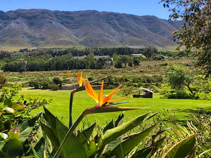 Western Cape Accommodation at Hemel en Aarde Cottages | Viya