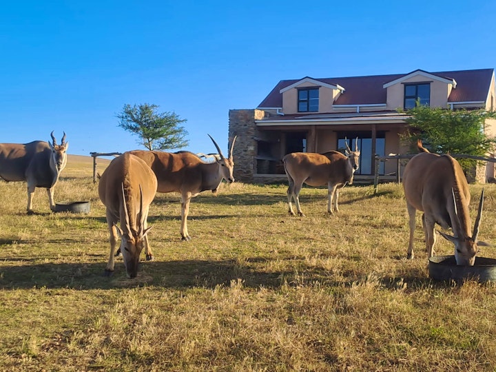 Western Cape Accommodation at Aloe Canyons Guestfarm | Viya