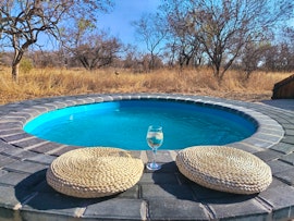 Dinokeng Game Reserve Accommodation at Cikeru Bush Camp - Zebra | Viya