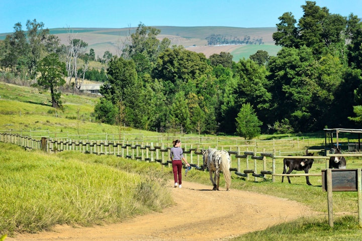 Western Cape Accommodation at Hemelsbreed Farm | Viya