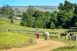 Overberg Accommodation at Hemelsbreed Farm | Viya