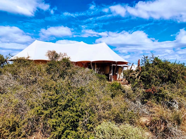 Eastern Cape Accommodation at Parkview Safari Lodge | Viya