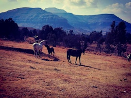 Drakensberg Accommodation at The Fat Mulberry Guest Farm | Viya