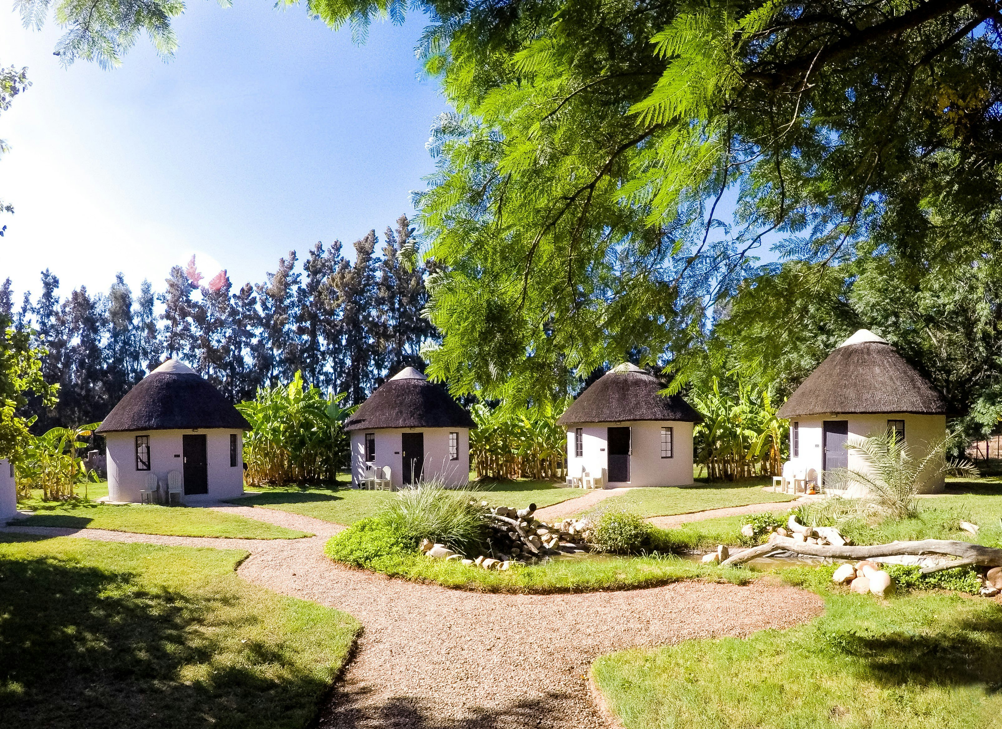 Addo African Home, Restaurant And Safari | TravelGround