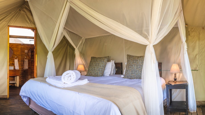 Mpumalanga Accommodation at Shindzela Tented Camp | Viya