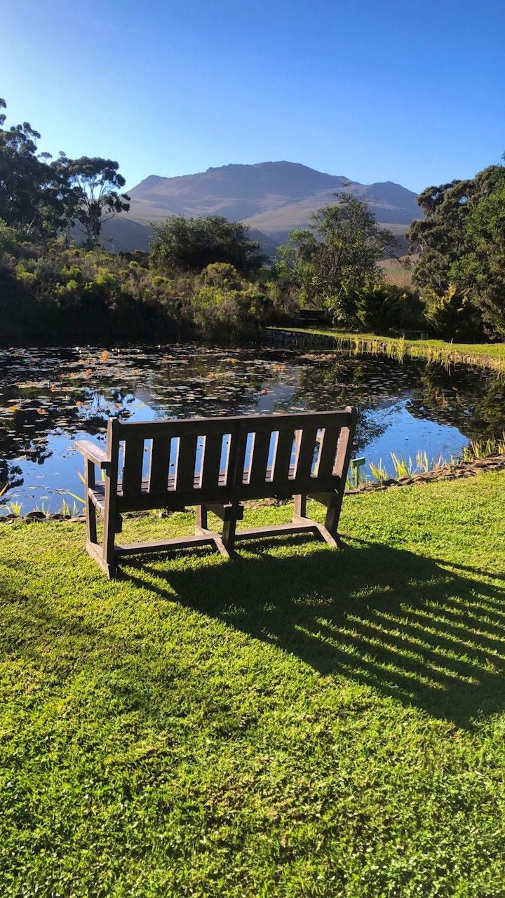 Overberg Accommodation at Volmoed | Viya