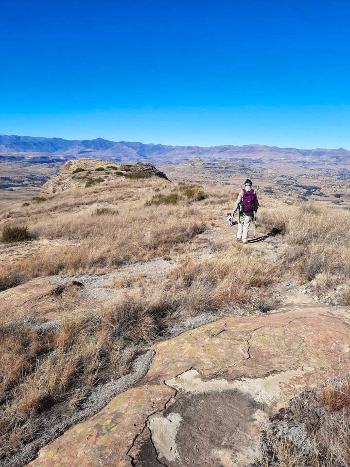 Clarens Accommodation at Lesoba Guest Farm | Viya