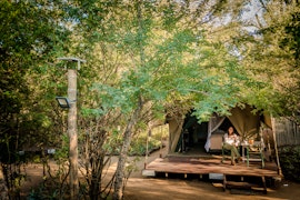 Mpumalanga Accommodation at  | Viya