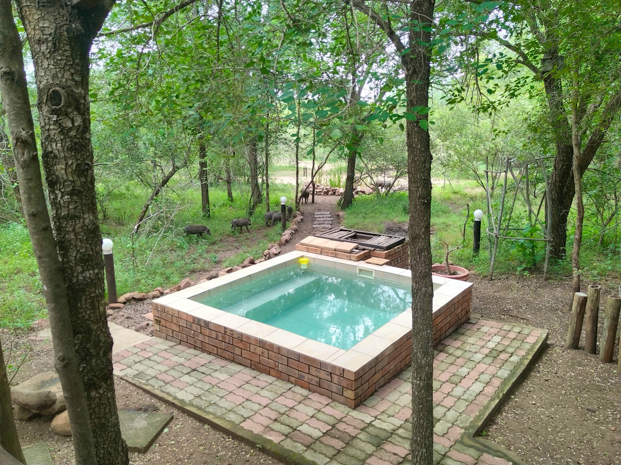 Kruger National Park South Accommodation at  | Viya