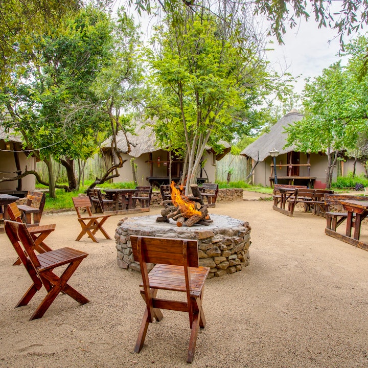 Gauteng Accommodation at Warthogs Bush Lodge | Viya