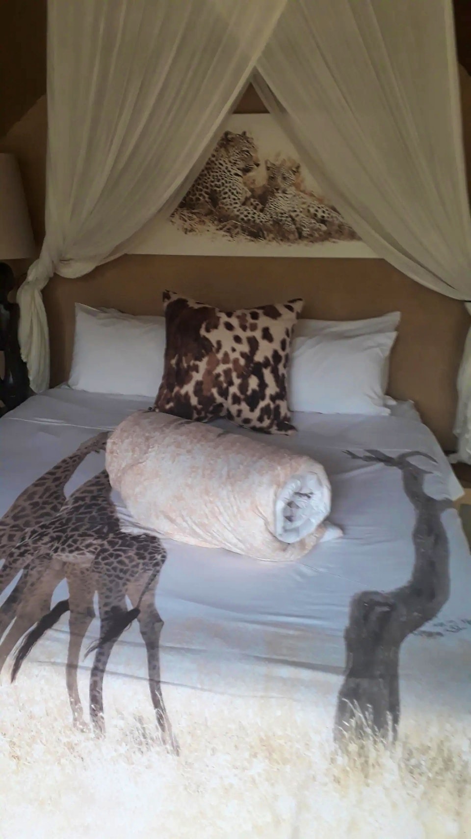 Hoedspruit Accommodation at  | Viya