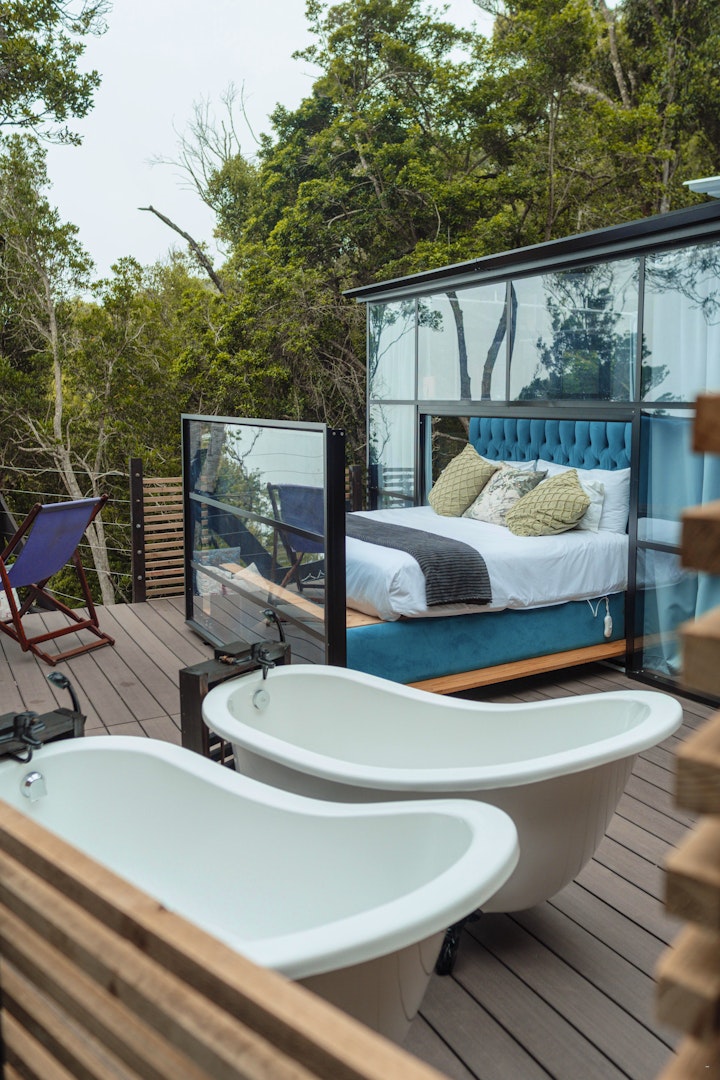 Garden Route Accommodation at The Stargazing Cube | Viya