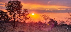 Waterberg Accommodation at Djumbawa Game Ranch | Viya