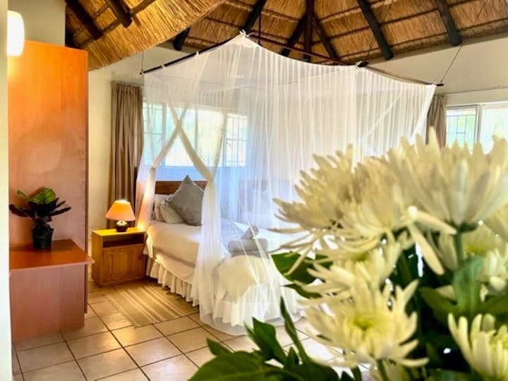 Kruger To Canyons Accommodation at Tamanini Timbavati | Viya