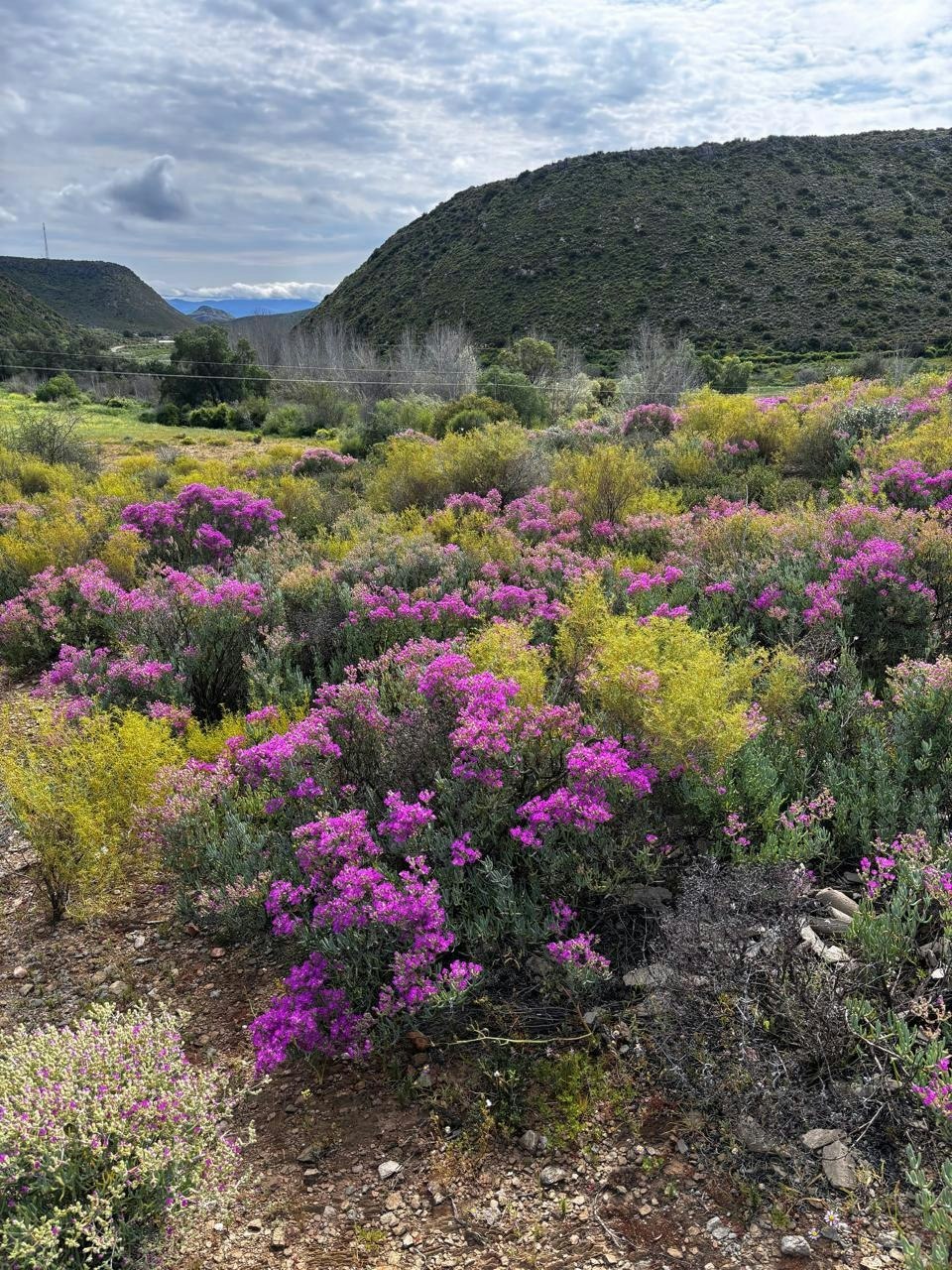Gamtoosberg Cottage image no 34 of 41
