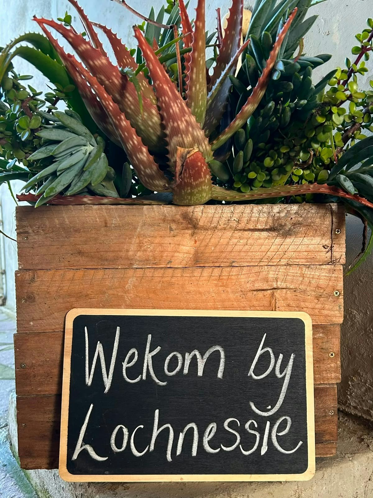 Lochnessie image no 1 of 24